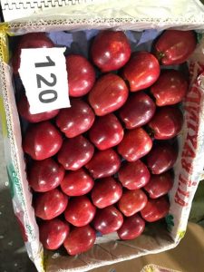 iranian apple exporter urumia oshnavieh azarbaijan