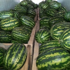 Iranian watermelon