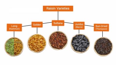 raisin supplier exporter 