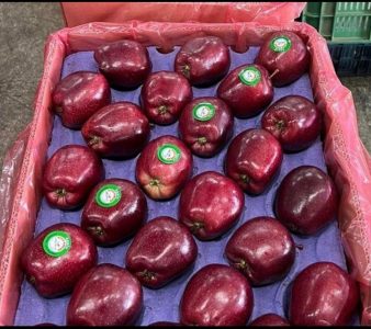 apple wholesaler iran