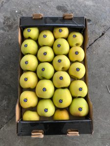 wholesaler of apples iran urumia azerbaijan