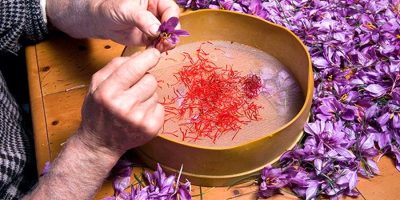 saffron exporter Iran wholesaler